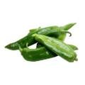 Hatch Chili Peppers