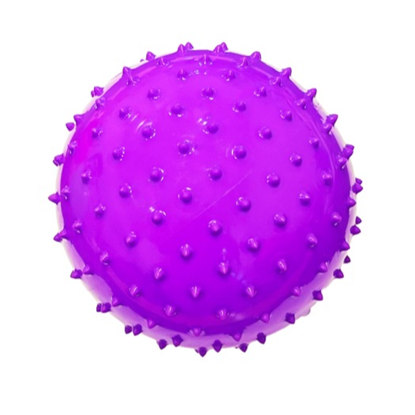 Summer 6 Inch Fun Playballs Purple