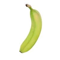Organic Bananas