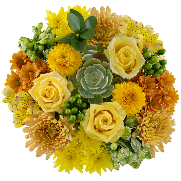 Giant Bloom & Grow September Bouquet