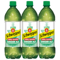 Schweppes Zero Sugar Ginger Ale Soda Caffeine Free - 6 pk