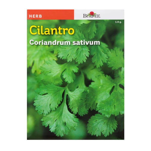 Burpee Herb Cilantro