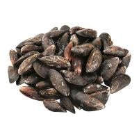 Live Mussels Fresh