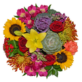 Our Brand Signature Bouquet (Colors May Vary)