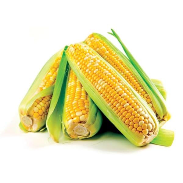 Semi-Trimmed Whole Sweet Corn - 4 ct