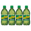 Schweppes Ginger Ale Soda Caffeine Free - 8 pk