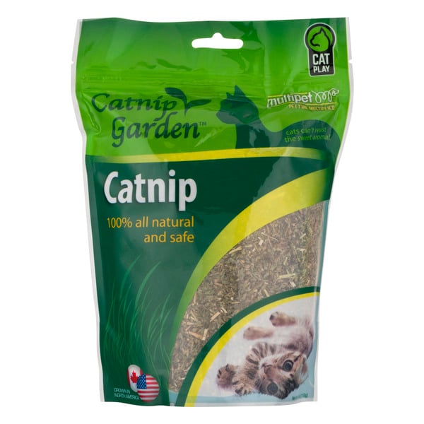 Catnip Garden Catnip