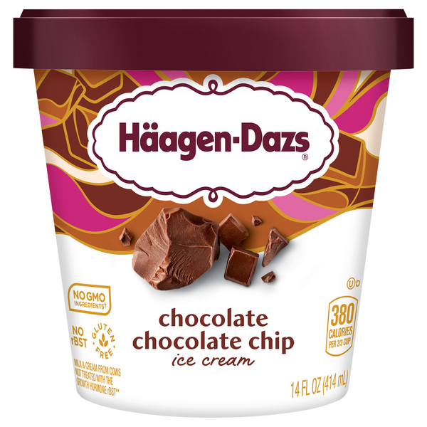 Haagen-Dazs Chocolate Chocolate Chip Ice Cream