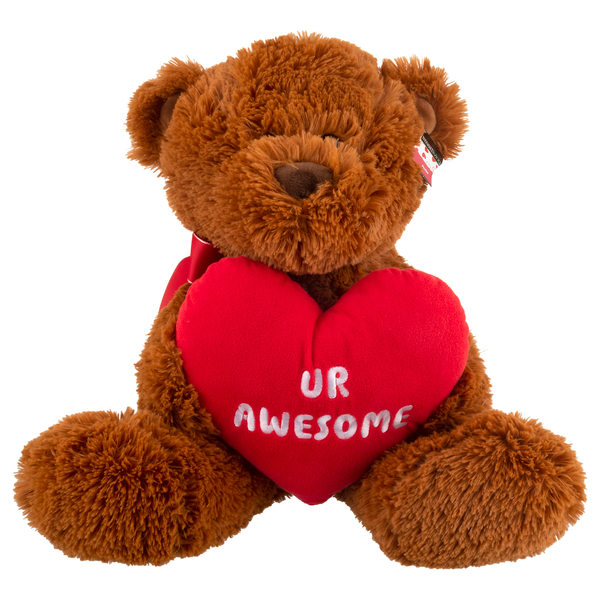 Smart Living Valentine's Day Plush Bear UR Awesome