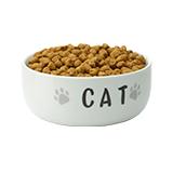 Fresh Cat Food