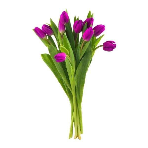 Giant Tulip Bouquet (Colors May Vary)