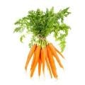 Carrots with Tops Fresh