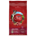 Purina ONE Natural Small Bites Beef & Rice Adult Dry Dog Food