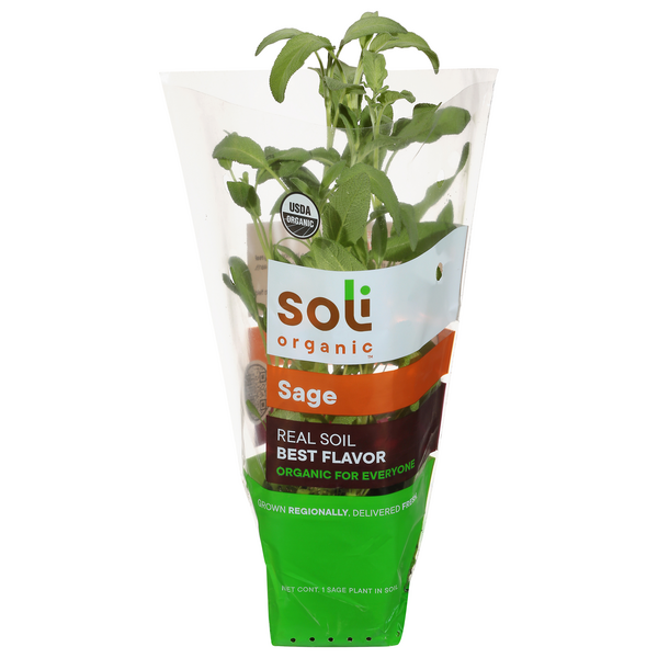 Soli Organic Sage