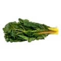 Rainbow Swiss Chard