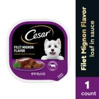 CESAR Classic Loaf in Sauce Filet Mignon Flavor Adult Wet Dog Food
