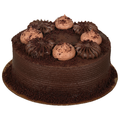 Food Lion Bakery Double Dutch Fudge Cake