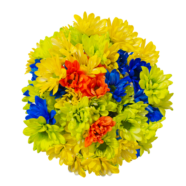 Tinted Daisies (Citrus Summer)