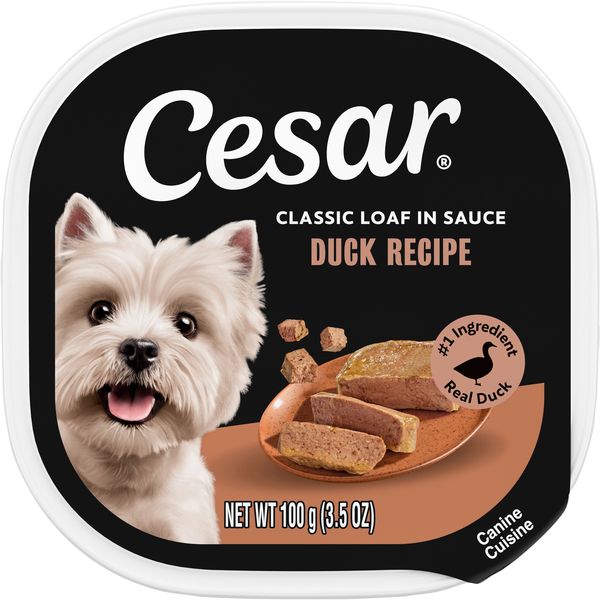 CESAR Classic Loaf in Sauce Duck Recipe Adult Wet Dog Food