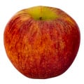 Envy Apples