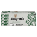 Seagram's Zero Sugar Ginger Ale - 10 pk
