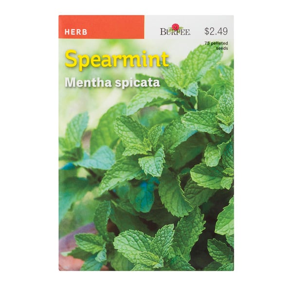 Burpee Herb Spearmint Mentha Spicata