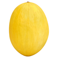 Canary Melon (Yellow Honeydew)