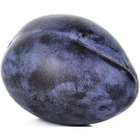 Prune Plums