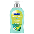 Softsoap Moisturizers Fresh Citrus Antibacterial Liquid Hand Soap Pump