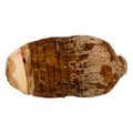 Malanga Coco (Yautia)