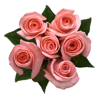 Giant Light Pink Roses Bunch