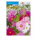 Burpee Annual Cosmos Sensation Mix Seeds