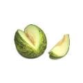 Santa Claus Melon