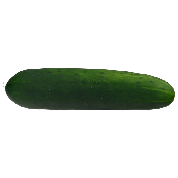 Organic Cucumber