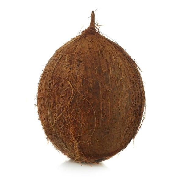 Coconut