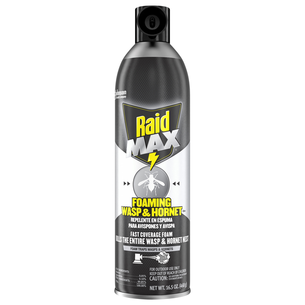 Raid Max Foaming Wasp & Hornet Spray