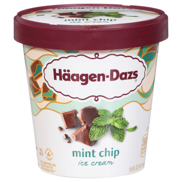 Haagen-Dazs Mint Chip Ice Cream