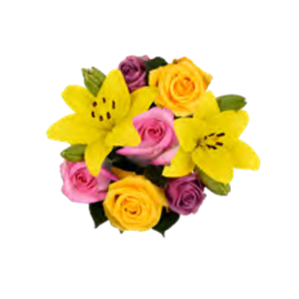 Giant Color Collection Wellness Lily Rose Bouquet