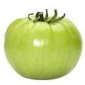 Green Tomatoes