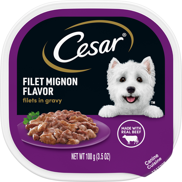 CESAR Filet Mignon Flavor in Gravy Adult Wet Dog Food