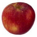 Rome Apples
