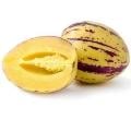 Pepino Melon