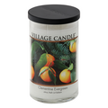 Village Candle Clementine Evergreen