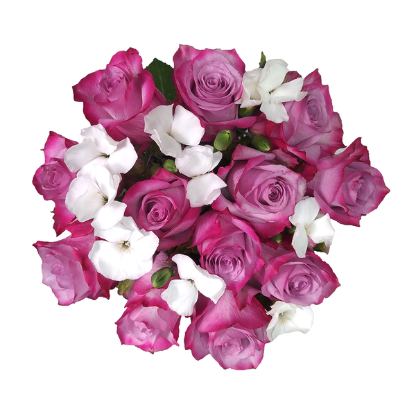 Rose Brilliance Bouquet (Colors May Vary)