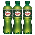 Canada Dry Ginger Ale Soda Caffeine Free - 6 pk