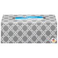 Giant Soft & Gentle Unscented 2-Ply Facial Tissue Flat Box