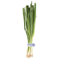 Green Onions (Scallions)