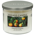 Village Candle Clementine Evergreen