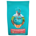 Purina ONE Tender Selects Blend Natural Real Salmon Adult Dry Cat Food