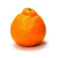 Sumo Mandarin Oranges